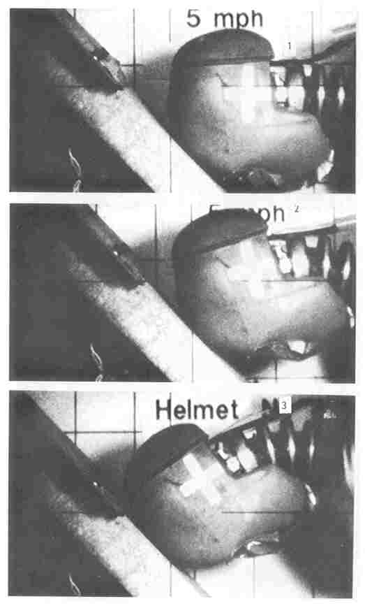 Hodgson study figure 5